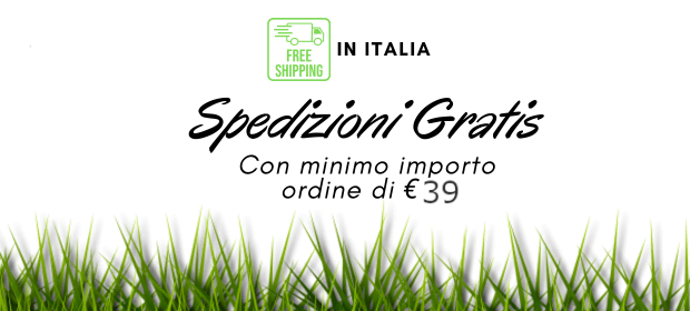 Spedizioni gratis in Italia